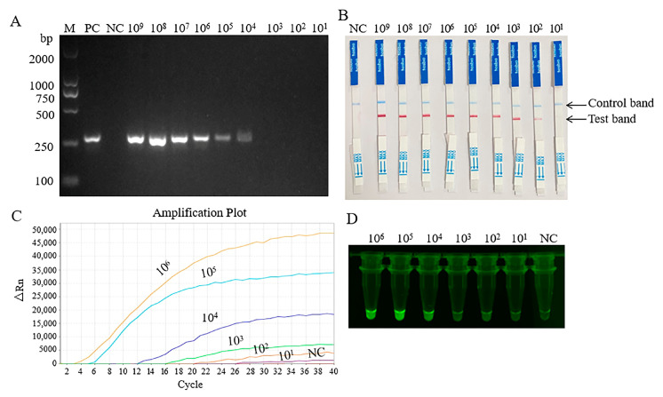 Figure 4