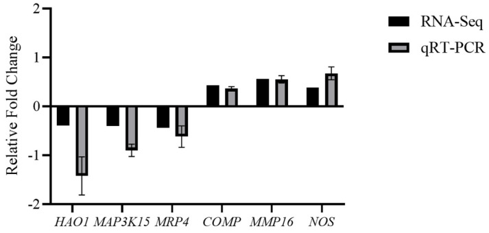 Figure 11