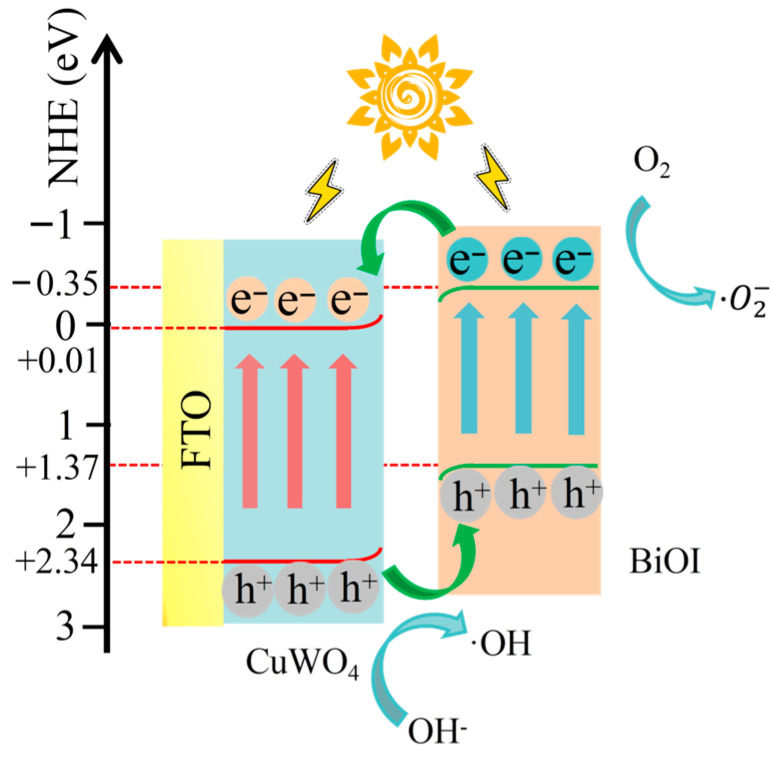 Figure 13