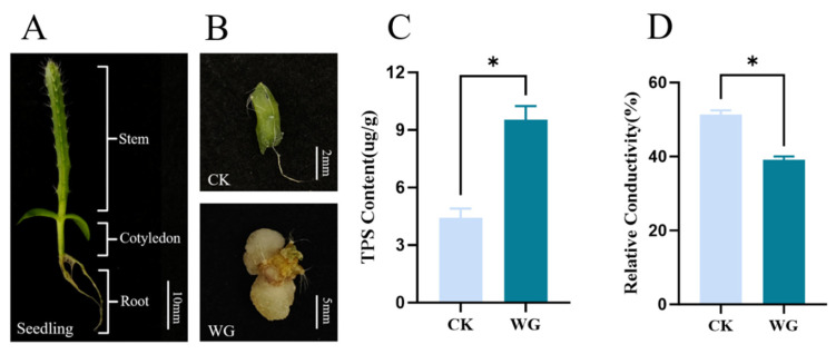 Figure 7