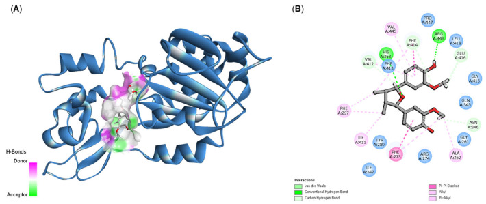 Figure 6