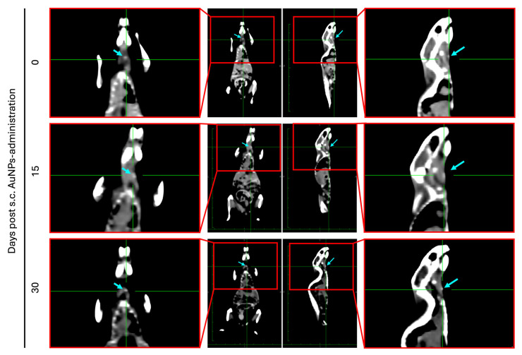 Figure 9