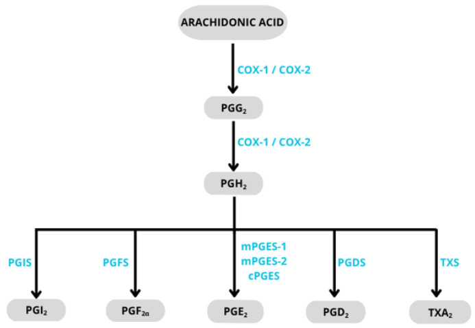 Figure 29