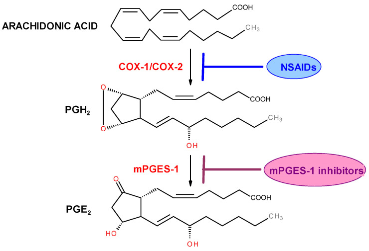 Figure 30