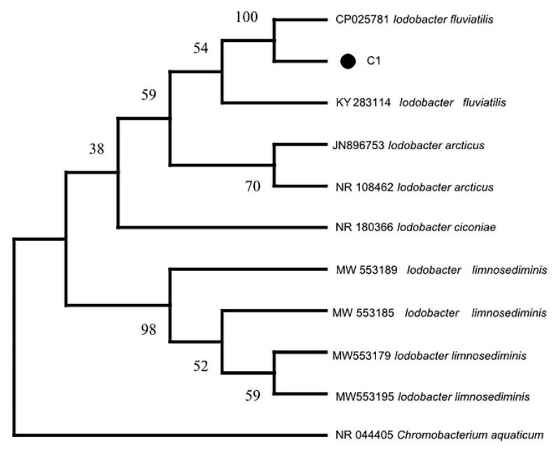 Figure 4