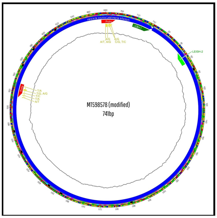 Figure 5