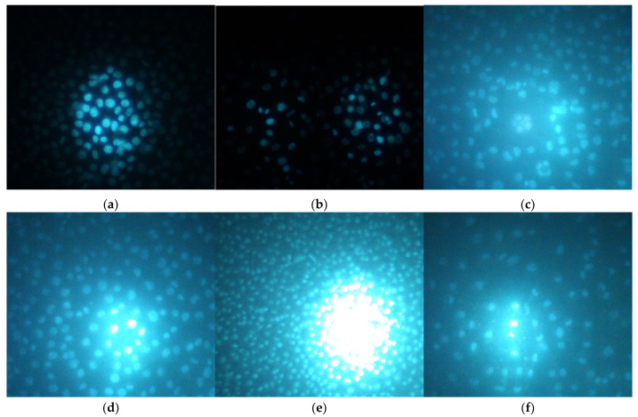 Figure 9