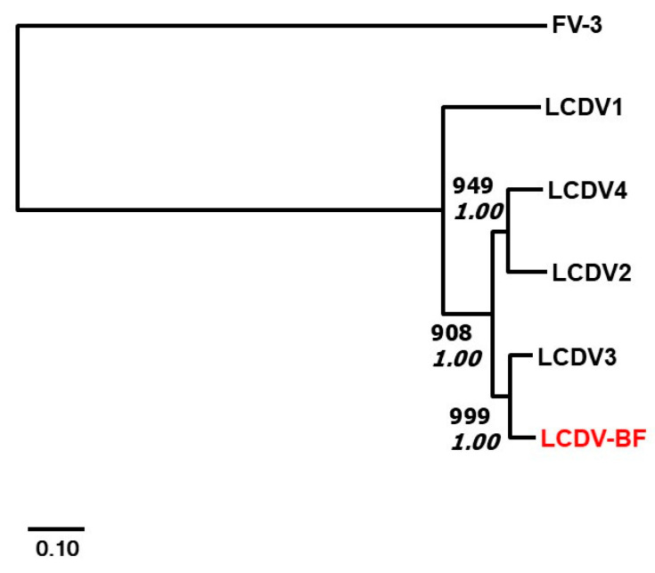 Figure 9