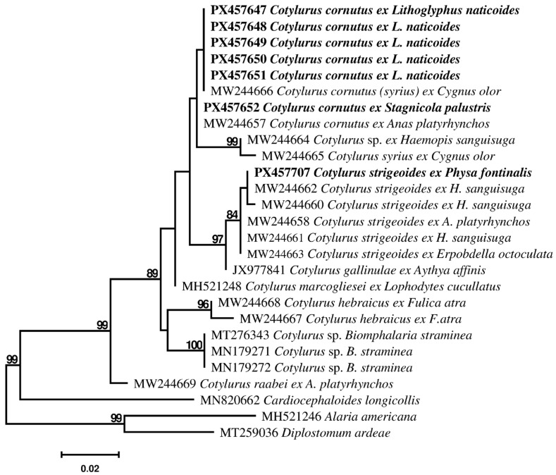 Figure 2