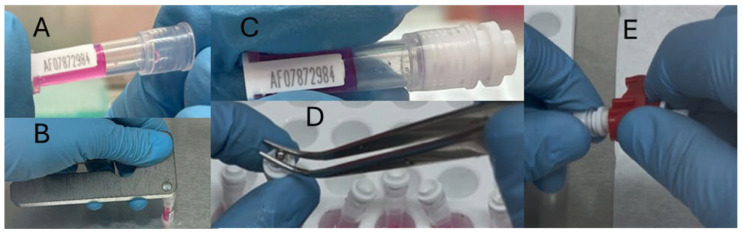 Figure 4
