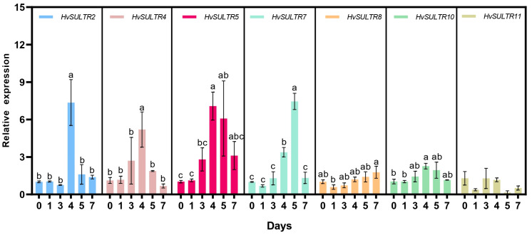 Figure 5