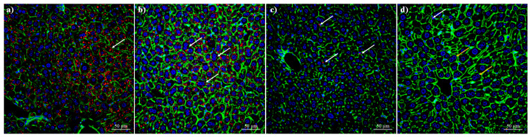 Figure 15