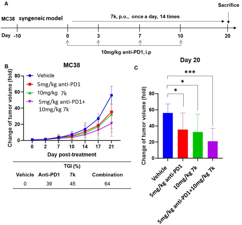 Figure 13