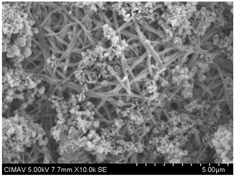 Figure 13