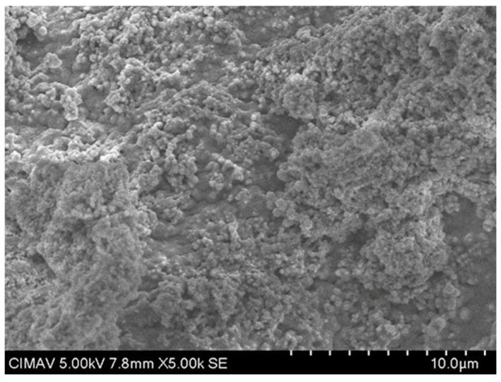 Figure 15