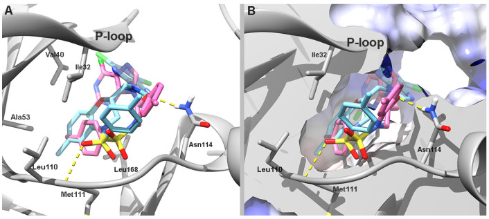 Figure 4