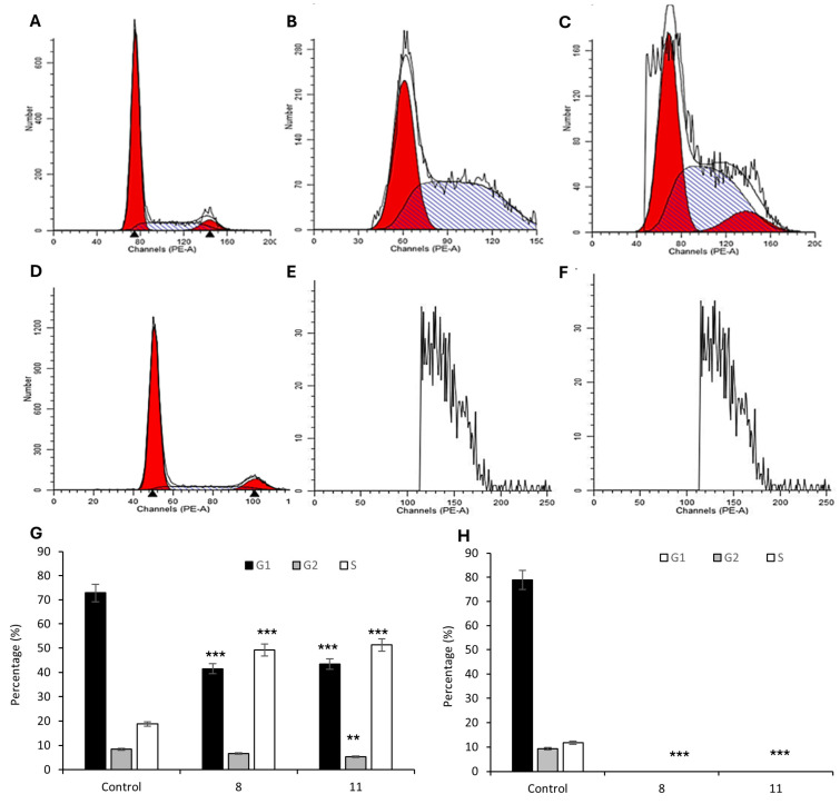 Figure 6