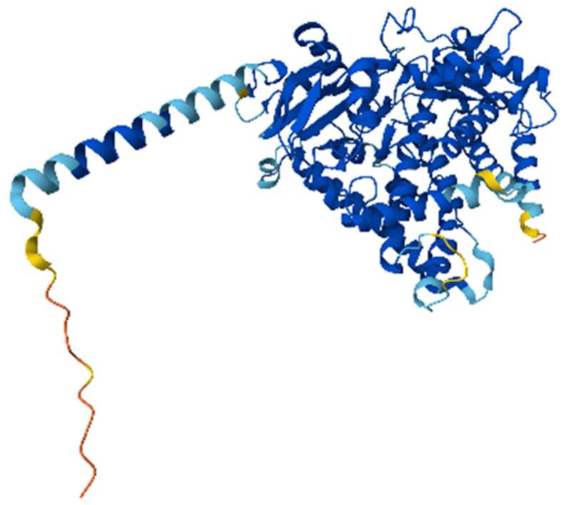 Figure 5