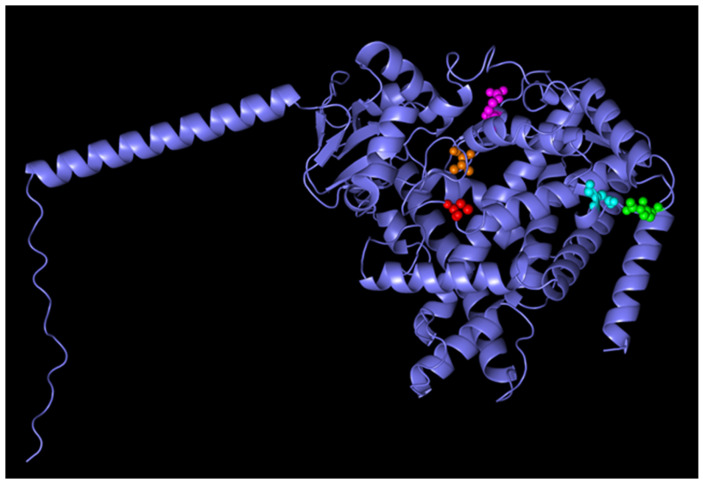 Figure 6