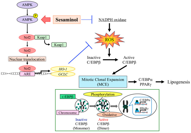 Figure 13