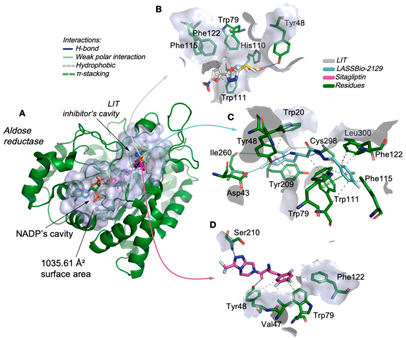 Figure 6