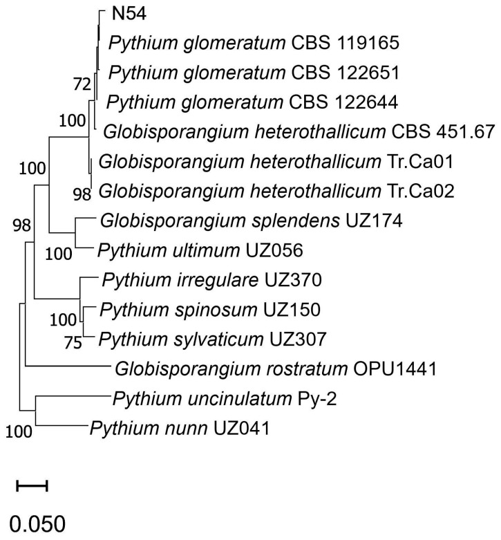 Figure 2