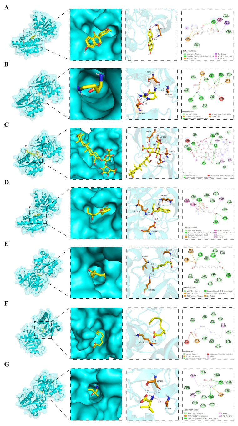 Figure 10