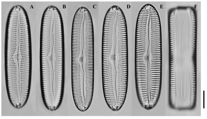 Figure 8