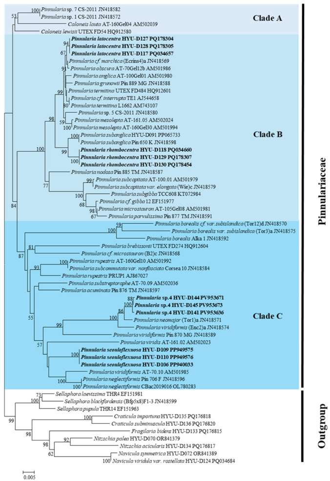 Figure 10