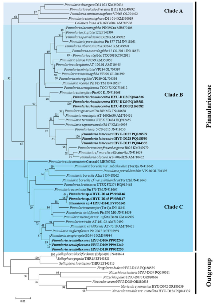 Figure 11
