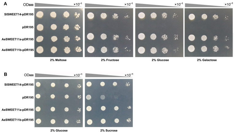 Figure 10