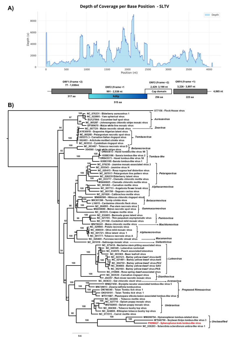 Figure 6