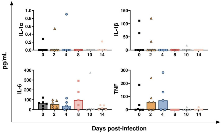 Figure 10