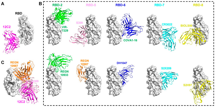 Figure 6