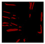 Figure 22