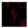 Figure 32