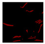 Figure 40