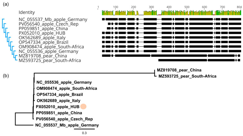 Figure 6