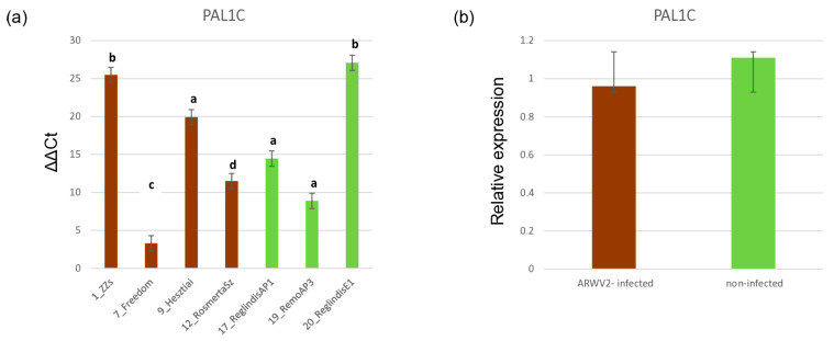 Figure 11