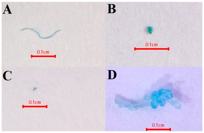 Figure 9