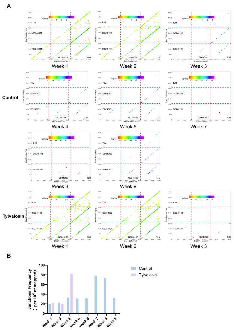 Figure 6
