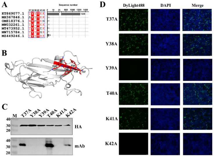 Figure 4