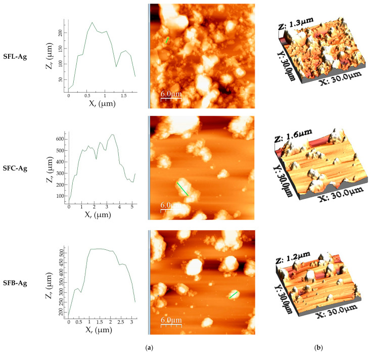 Figure 12