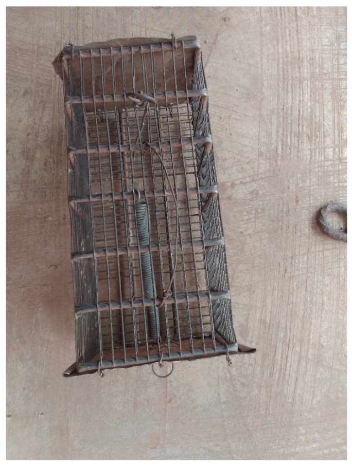 Figure 2