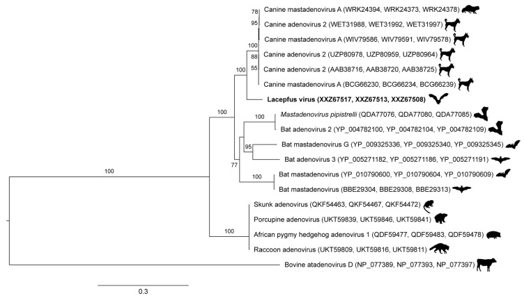 Figure 2