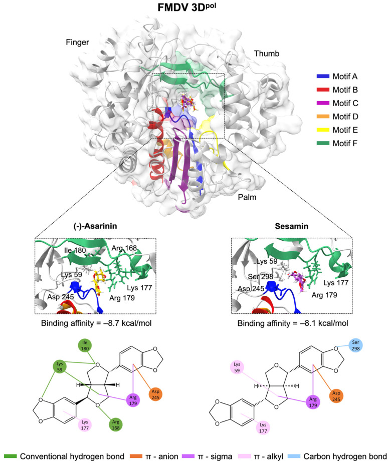 Figure 6