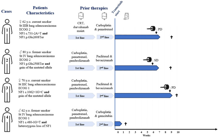 Figure 1