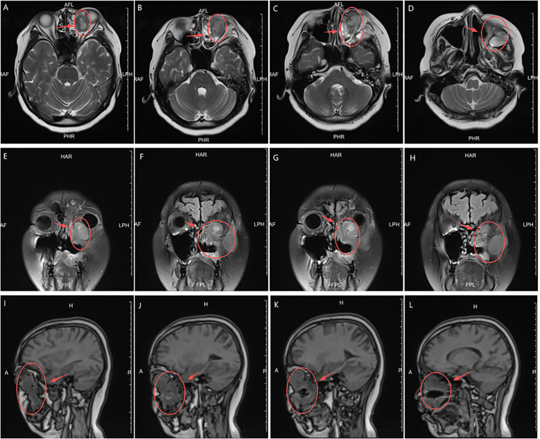 Figure 1