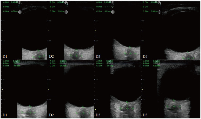 Figure 5