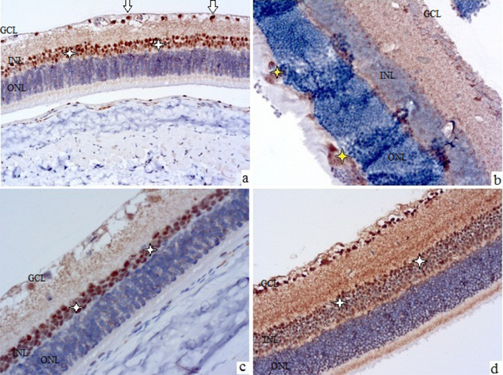 Figure 3